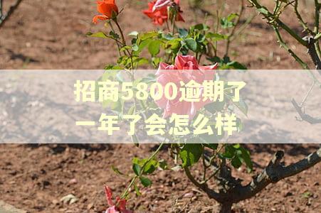 招商5800逾期了一年了会怎么样