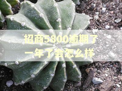 招商5800逾期了一年了会怎么样