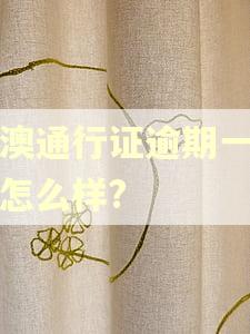 港澳通行证逾期一天会怎么样? 港澳通行证逾期一天会怎么样?