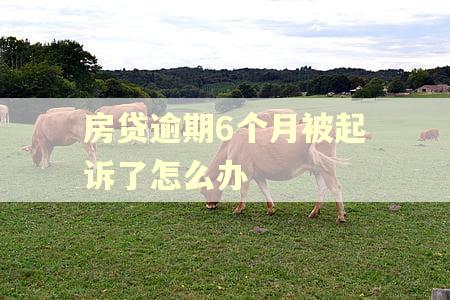 房贷逾期6个月被起诉了怎么办
