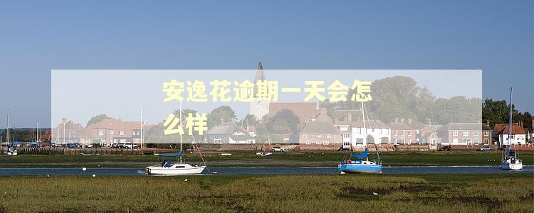 安逸花逾期一天会怎么样