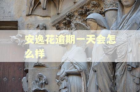 安逸花逾期一天会怎么样