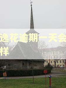 安逸花逾期一天会怎么样 安逸花逾期一天会怎么样