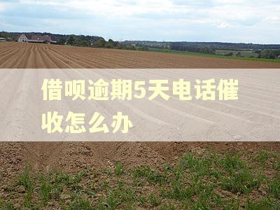 借呗逾期5天电话催收怎么办