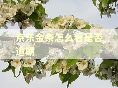 京东金条怎么看是否逾期