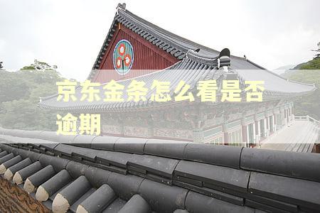 京东金条怎么看是否逾期