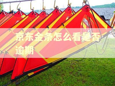 京东金条怎么看是否逾期