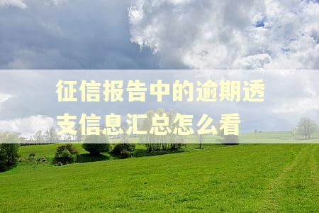 征信报告中的逾期透支信息汇总怎么看