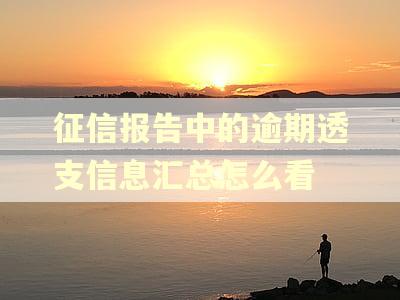 征信报告中的逾期透支信息汇总怎么看