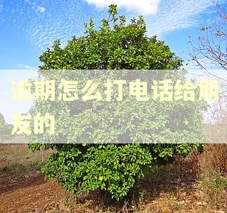 逾期怎么打电话给朋友的