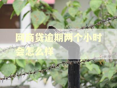 网商贷逾期两个小时会怎么样