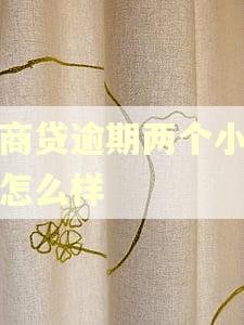 网商贷逾期两个小时会怎么样