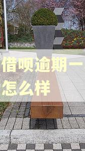 花呗借呗逾期一年还清后怎么样