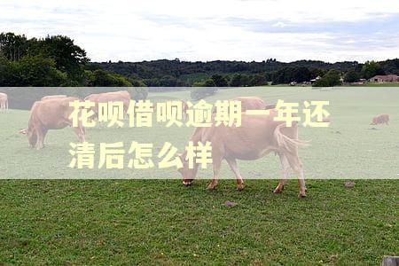 花呗借呗逾期一年还清后怎么样
