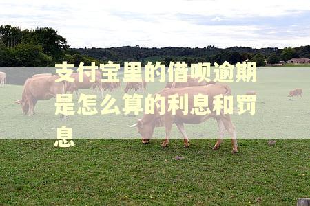 支付宝里的借呗逾期是怎么算的利息和罚息