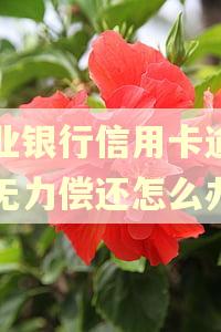 兴业银行信用卡逾期了无力偿还怎么办