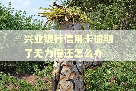 兴业银行信用卡逾期了无力偿还怎么办