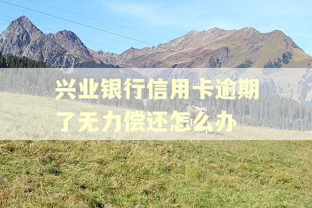 兴业银行信用卡逾期了无力偿还怎么办 兴业银行信用卡逾期了无力偿还怎么办