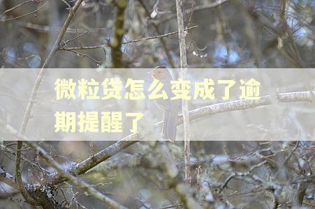微粒贷怎么变成了逾期提醒了