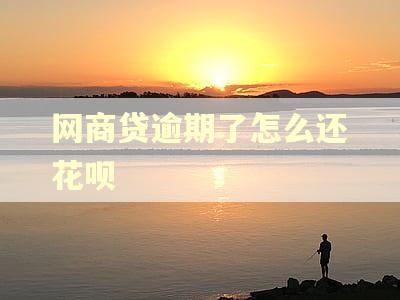 网商贷逾期了怎么还花呗