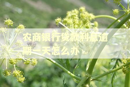 农商银行贷款利息逾期一天怎么办 农商银行贷款利息逾期一天怎么办
