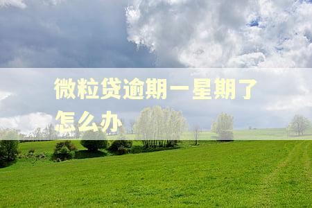 微粒贷逾期一星期了怎么办
