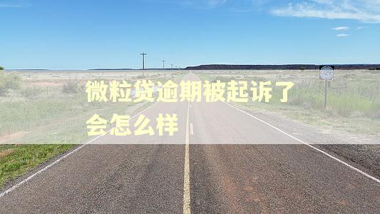 微粒贷逾期被起诉了会怎么样