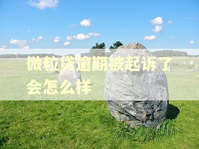 微粒贷逾期被起诉了会怎么样