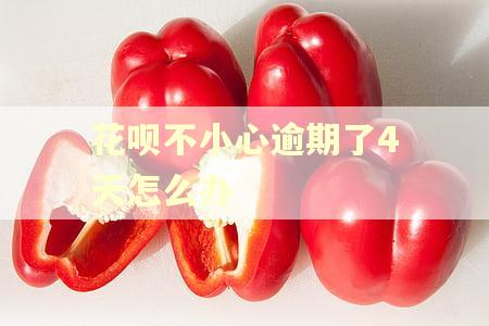 花呗不小心逾期了4天怎么办