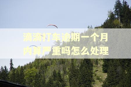 滴滴打车逾期一个月内算严重吗怎么处理