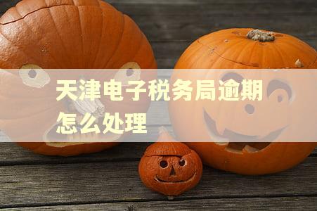 天津电子税务局逾期怎么处理