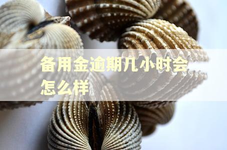 备用金逾期几小时会怎么样