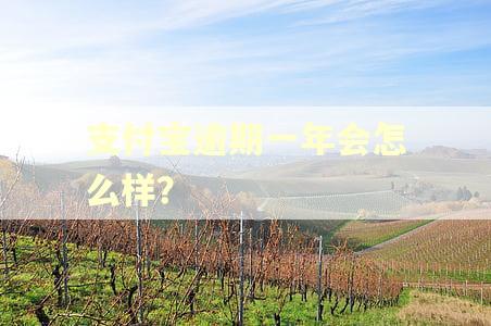 支付宝逾期一年会怎么样？