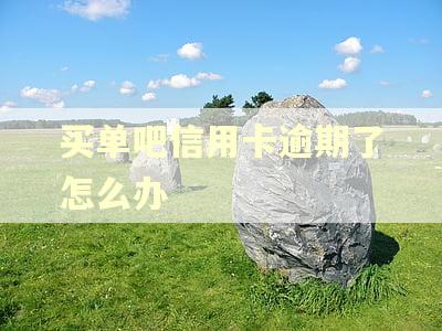 买单吧信用卡逾期了怎么办