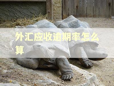 外汇应收逾期率怎么算 外汇应收逾期率怎么算