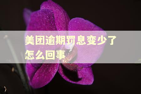 美团逾期罚息变少了怎么回事