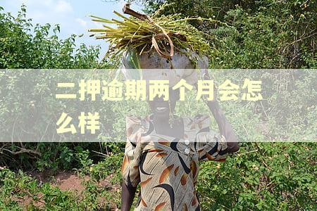二押逾期两个月会怎么样