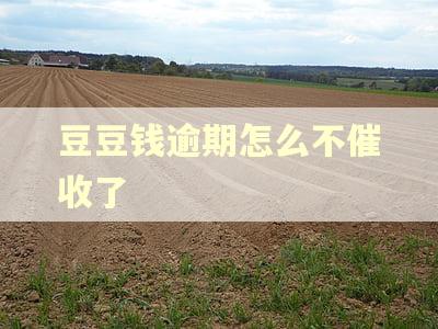 豆豆钱逾期怎么不催收了