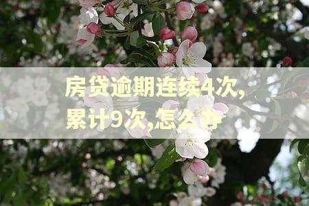 房贷逾期连续4次,累计9次,怎么办 房贷逾期连续4次,累计9次,怎么办