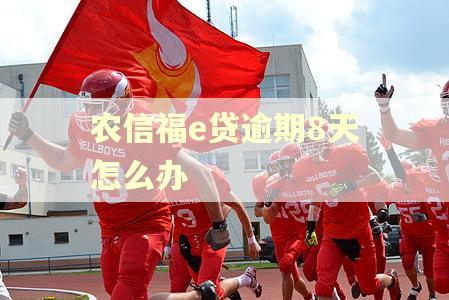 农信福e贷逾期8天怎么办