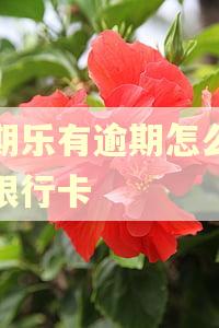 分期乐有逾期怎么解绑银行卡 分期乐有逾期怎么解绑银行卡