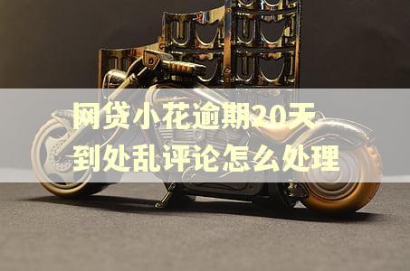 网贷小花逾期20天到处乱评论怎么处理