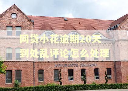 网贷小花逾期20天到处乱评论怎么处理