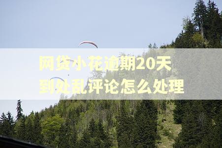 网贷小花逾期20天到处乱评论怎么处理 网贷小花逾期20天到处乱评论怎么处理
