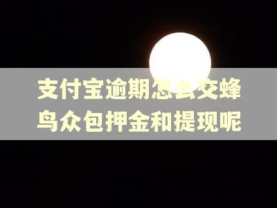 支付宝逾期怎么交蜂鸟众包押金和提现呢
