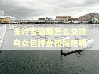 支付宝逾期怎么交蜂鸟众包押金和提现呢 支付宝逾期怎么交蜂鸟众包押金和提现呢
