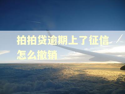 拍拍贷逾期上了征信怎么撤销