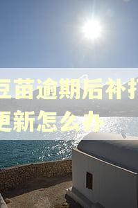 小豆苗逾期后补打后不更新怎么办 小豆苗逾期后补打后不更新怎么办