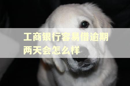 工商银行容易借逾期两天会怎么样
