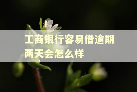 工商银行容易借逾期两天会怎么样